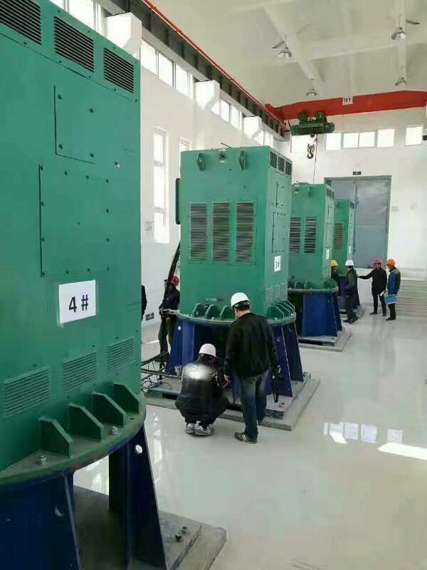 Y5001-4某污水处理厂使用我厂的立式高压电机安装现场质量怎么样
