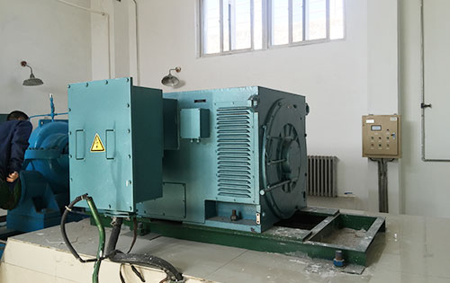 Y5001-4某水电站工程主水泵使用我公司高压电机生产厂家