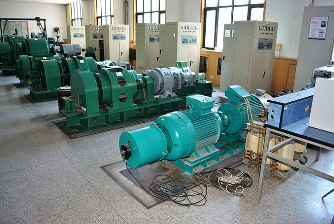 Y5001-4某热电厂使用我厂的YKK高压电机提供动力生产厂家