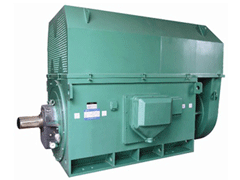 Y5001-4YKK系列高压电机