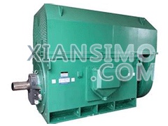 Y5001-4YXKK(2极)高效高压电机技术参数