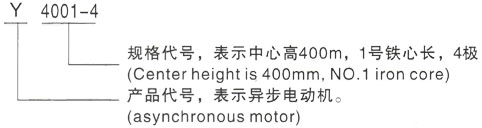 西安泰富西玛Y系列(H355-1000)高压Y5001-4三相异步电机型号说明