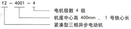 YR系列(H355-1000)高压Y5001-4三相异步电机西安西玛电机型号说明